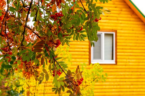 Cost of Garden Window Replacement in Mechanicsburg